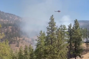 பிரிட்டிஷ் கொலம்பியாவில் காட்டுத்தீ – ஒருவர் கைது