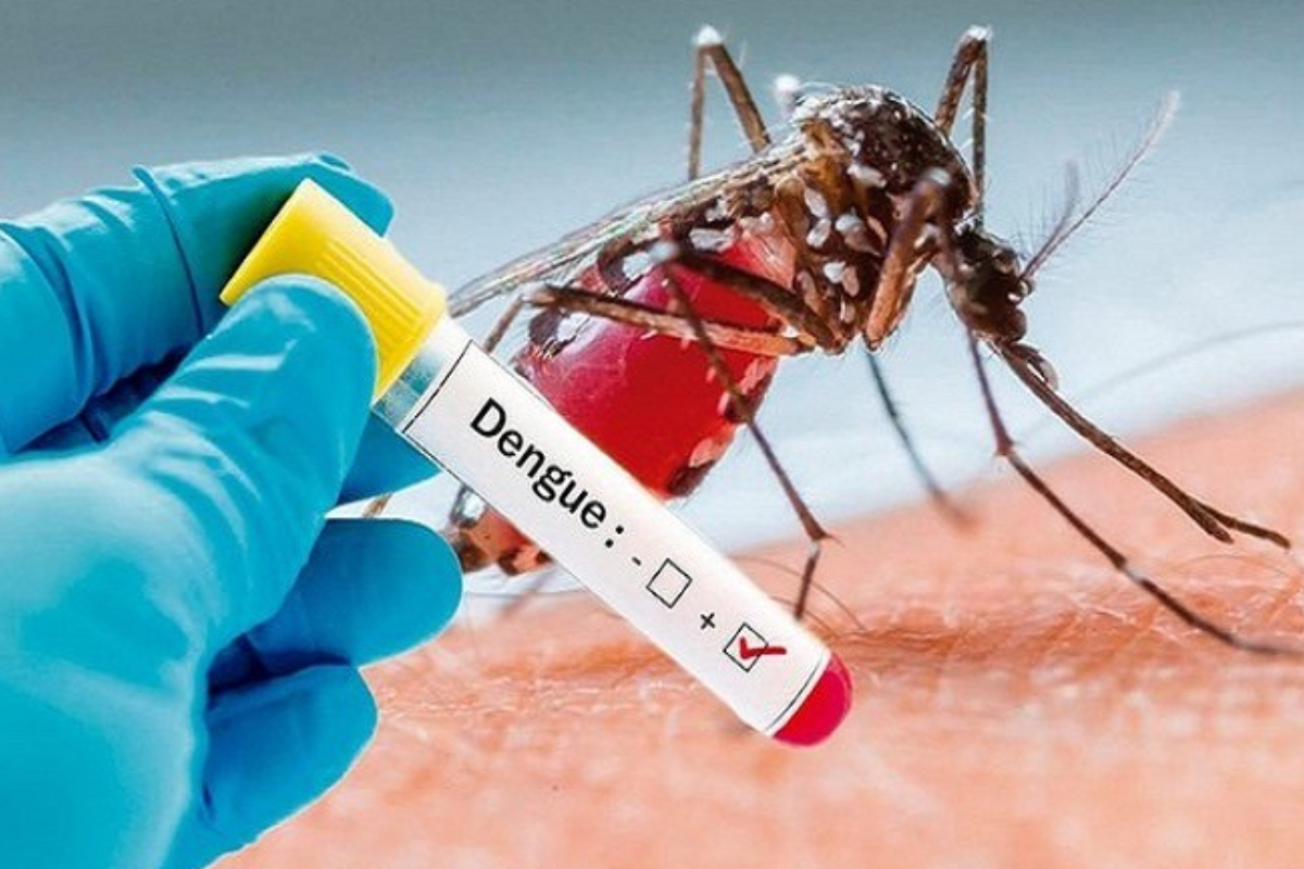 14 மாவட்டங்களில் டெங்கு அபாயம் தீவிரம் | Dengue Risk Is High In 14 Districts