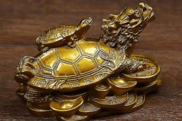 வீட்டில் ஆமை சிலையை வைக்கலாமா? பலரும் அறியாத ஆச்சரியம்