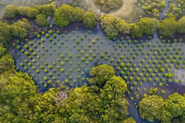 இலங்கையை பாராட்டிய ஐக்கிய நாடுகள் சபை
