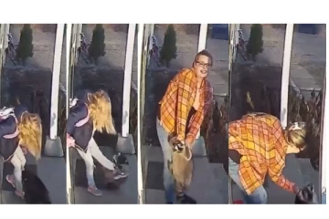 மகளை கொடூரமாக தாக்கிய ரக்கூன் விலங்கு - போராடி காப்பாற்றிய தாய்... - பதற வைக்கும் வீடியோ வைரல்...!