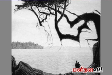 Optical Illusion: இந்த படத்தில் மறைந்துள்ள குழந்தையை கண்டுபிடிக்க முடியுமா?
