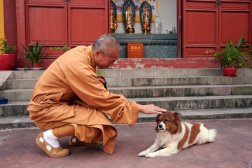 உலகின் கவனத்தை   ஈர்த்த சீனத் துறவி! காரணம் என்ன தெரியுமா?