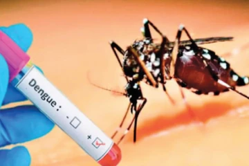 நாட்டில் டெங்கு நோயாளர்கள் அதிகரிப்பு