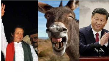 பாகிஸ்தானிடம் இருந்து கழுதைகளை வாங்கி குவிக்கும் சீனா! கேட்க கேட்க கொடுக்கும் இம்ரான்கான்: வெளியான இதன் பின்னணி