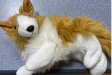 கொரோனா நோயாளி மருத்துவமனைக்குள் கொண்டு வந்த பொம்மை... சந்தேகத்தில் ஆராய்ந்த ஊழியர்களுக்கு காத்திருந்த அதிர்ச்சி