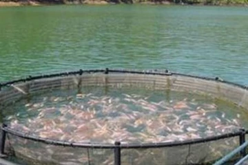 தாய்க்கு பயந்து குளத்தில் பாய்ந்த சிறுவர்கள்; நேர்ந்த சோகம்