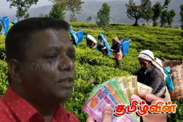 தோட்டத் தொழிலாளர்களின் சம்பள பிரச்சினை:தொழிலாளர் செங்கொடி சங்கத்திற்கு நன்றி தெரிவிப்பு