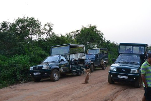 யால வனப்பகுதியில் காணாமல் போன மலேசிய சுற்றுலா பயணி! | Malaysian Tourist Missing In Yala Forest