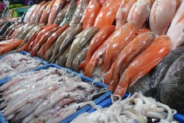 இலங்கையில் மீன்களின் விலையில் ஏற்பட்டுள்ள பாரிய மாற்றம்! | The Price Of Fish In Sri Lanka Has Decreased