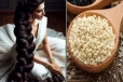 Hair care tips: விழுந்த வழுக்கையில் முடி வளர வைக்கும் உணவுகள்- அடிக்கடி சாப்பிடுங்க!