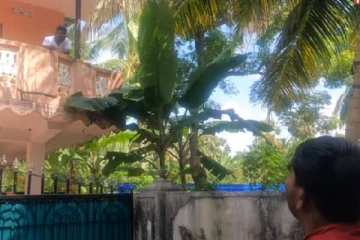 நமது சமூகத்தில் இடம்பெறும் கலாச்சார சீரழிவுகள்; கண்டும் பசுவும் கொண்டுபோன ரமேஸ்!