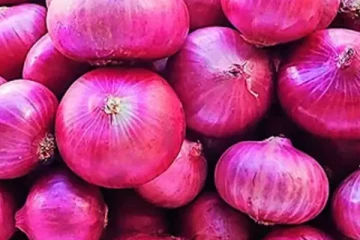 எகிறும் பெரிய வெங்காயத்தின் விலை!