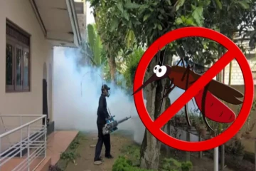 நாட்டில் ஆபத்தான நிலையில் டெங்கு நோய் பரவல் ; இன்று முதல் விசேட செயற்றிட்டம்