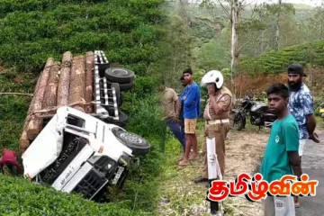 மரக்குற்றிகளை ஏற்றிச் சென்ற லொறி பள்ளத்தில் விழுந்து விபத்து