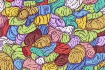 Optical illusion: டவல்கள் இடையே படுத்து உறங்கும் நாயை 5 வினாடிக்குள் கண்டுபிடிக்க முடியுமா?