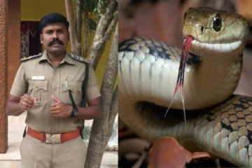 பாம்பு கடிச்சதும் இதை மட்டும் பண்ணிராதீங்க; என்ன செய்யலாம் - வனச்சரகர் வீடியோ!
