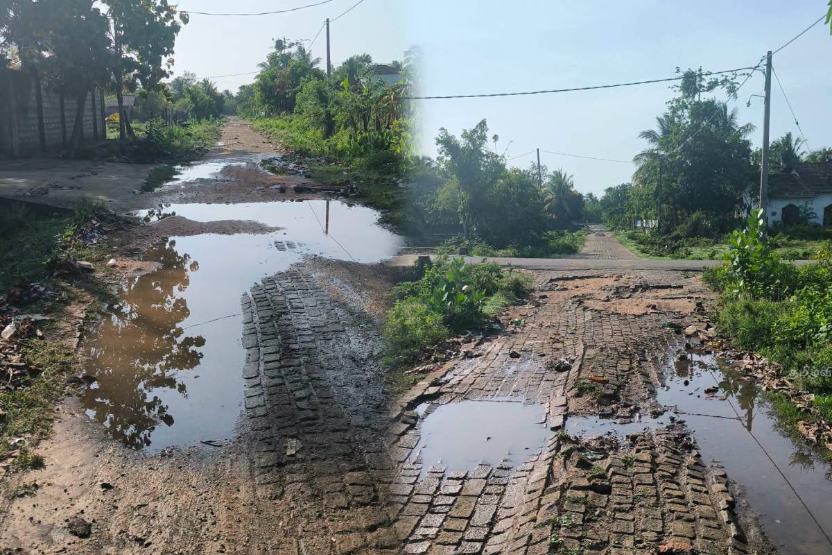 முள்ளிபொத்தானை- நிஸ்கோ வீதியை புனரமைப்புச் செய்யுமாறு கோரிக்கை