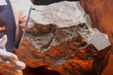 ஏலத்திற்கு வரும் உலகின் விசித்திர பொருட்கள்