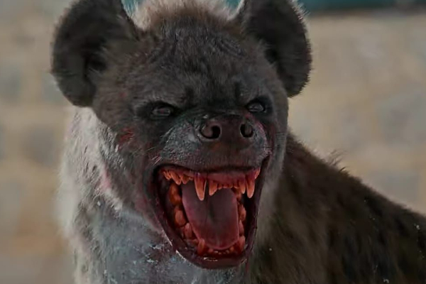 லியோ Hyena காட்சிக்கு மட்டும் இத்தனை கோடி செலவு ஆனதா? | Leo Hyena Scene Huge Budget Details