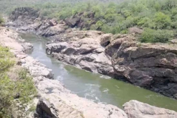 மேகதாது அணை விவகாரம்: தமிழ்நாட்டின் அனுமதி தேவையில்லை - கர்நாடக காங்கிரஸ் தலைவர்!