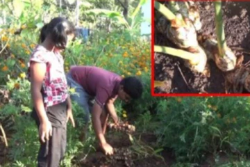 பாடசாலை விடுமுறையில் முன்னுதாரணமாக செயற்பட்ட மாணவர்கள்!
