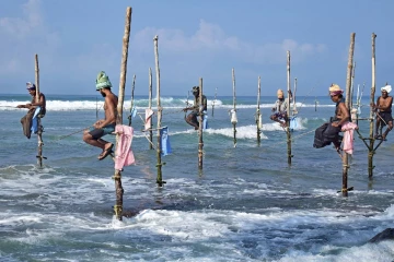 ධීවර ක්ෂේත්‍රයේ දැවැන්ත පෙරළියක් - ලංකාවේ මිරිදිය ඉස්සන් අස්වැන්න වාර්තාගත ලෙස ඉහළට