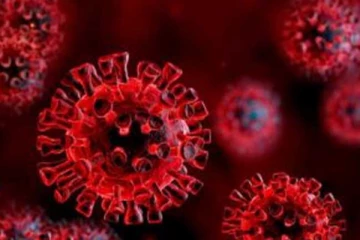 අර්බුධ මැද නව කොවිඩ් ප්‍රභේදකුත් මතුවෙයි