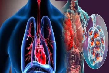 நுரையீரலை பாதுகாப்பது கடினமாக இருக்கின்றதா? உங்களுக்கான பதிவு இதோ