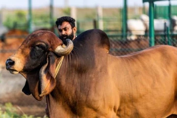 வங்கி வேலையை விட்டு ஆர்கானிக் விவசாயம்! பல கோடி சம்பாதிக்கும் இளைஞர்