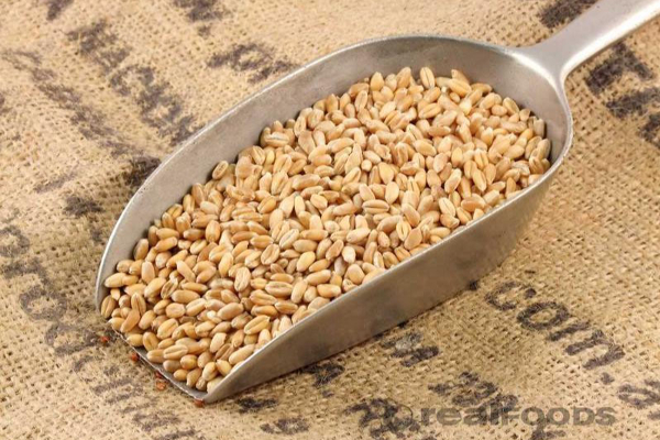 இந்த பரிகாரத்தை மட்டும் செய்தால் குடும்பத்தில் பிரச்சனைகள் வராது | Pariharam For Family Problem