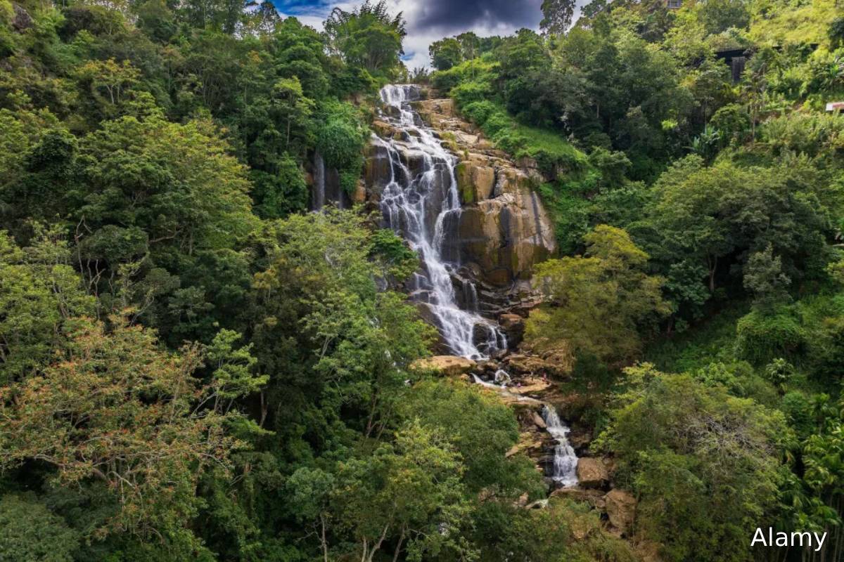 இலங்கைக்கு சுற்றுலா சென்ற இளம்பெண்ணுக்கு நேர்ந்த துயர முடிவு | Brit Women Dies By Fell From Waterfall In Srilanka இலங்கைக்கு சுற்றுலா சென்ற இளம்பெண்ணுக்கு நேர்ந்த துயர முடிவு | Brit Women Dies By Fell From Waterfall In Srilanka
