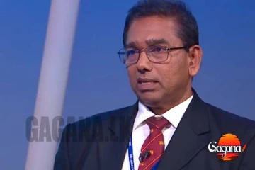 මිද්දෙනියෙන් සොයාගත් බහාලුම් දෙක සම්බන්ධයෙන් රේගු අධ්‍යක්ෂවරයාගේ විශේෂ ප්‍රකාශයක් [VIDEO]