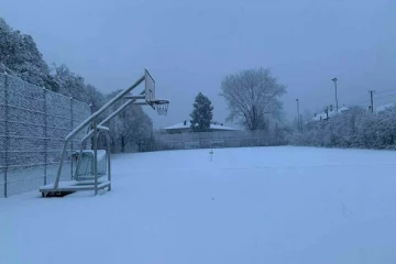 சுவிட்சர்லாந்தில் பெரும் பனிப்பொழிவு