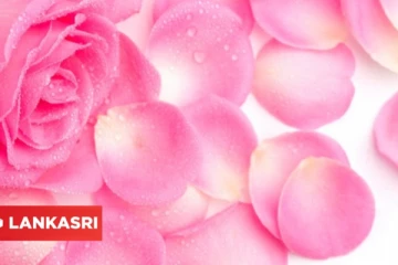 இந்த இதழில் இவ்வளவு நன்மையா? தெரிந்தால் ஆச்சரியப்படுவீர்கள்!