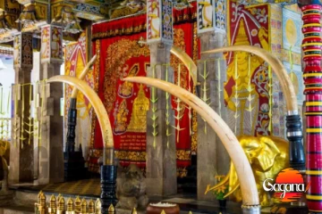 සිරි දළදා වන්දනාව 27 වනදායින් ඉවරයි