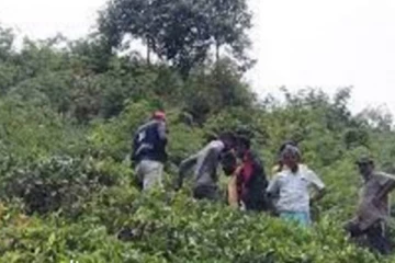 பொகவந்தலாவ தேயிலை மலையிலிருந்து வயோதிபர் ஒருவரின் சடலம் மீட்பு