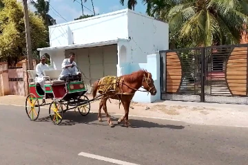 யாழில் குதிரை வண்டியில் பயணிக்கும் அருட்தந்தை(Photo)