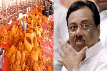 'அதிமுக மாநாடு ஒரு புளியோதரை மாநாடு'! ஈ.வி.கே.எஸ்.இளங்கோவன் விமர்சனம்