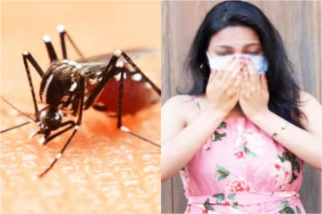 ஒரே அறிகுறிகளைக் கொண்ட கொரோனா மற்றும் டெங்கு