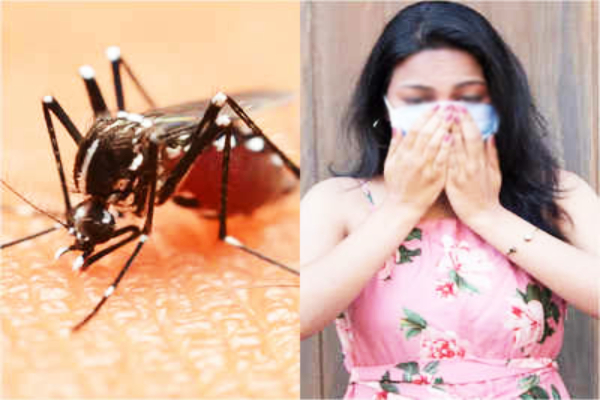 ஒரே அறிகுறிகளைக் கொண்ட கொரோனா மற்றும் டெங்கு - ஐபிசி தமிழ்