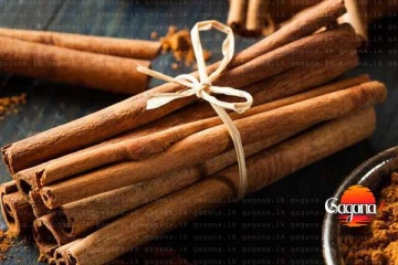 කුරුදු වළින් මෙරටට ලැබුණු වාර්තාගත ආදායම මෙන්න