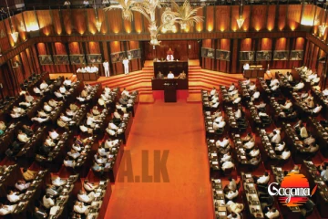 පාර්ලිමේන්තු මන්ත්‍රී අබ්දුල් වාහිද් සහ සුජීව සේනසිංහ කාරක සභා කිහිපයක සේවයට