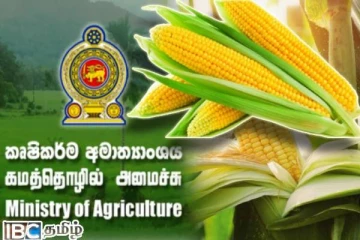 சோள இறக்குமதி குறித்து விவசாய அமைச்சின் அறிவிப்பு