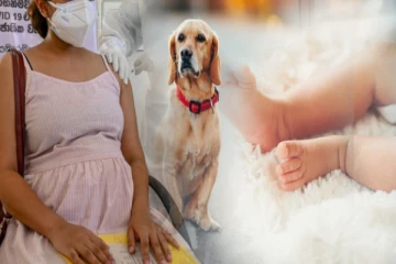 யாழில் நாய் இழுத்துச்சென்ற பச்சிளம் சிசு; தாயார் தொடர்பில் நீதிமன்றம் விடுத்த உத்தரவு!