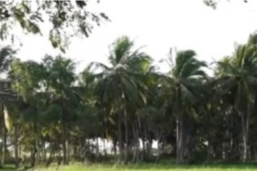 கிளிநொச்சியில் சிறப்புவாய்ந்த ஒர் கிராமத்தின் அழகிய காணொளி!