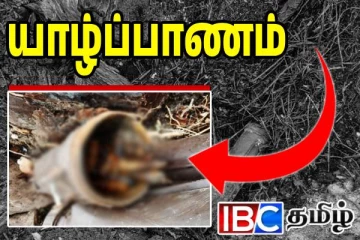 யாழ் மண்டைதீவில் பல துப்பாக்கி ரவைகள் மீட்பு