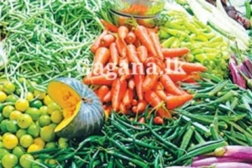 බලන්නකෝ එළවළු මිල ගණන්වලට අද සිද්ධවෙලා තියන දේ..