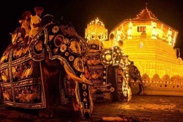 கண்டி எசல பெரஹரா உற்சவம் இன்று ஆரம்பம்