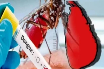 இலங்கை டெங்கு நோயாளர்களின் எண்ணிக்கை அதிகரிப்பு